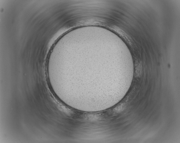 X0000072491086200608041410