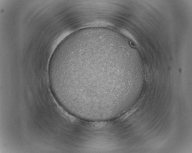 X0000072491087200608041410