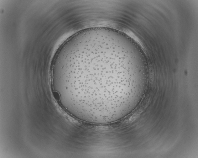 X0000072491088200608041410