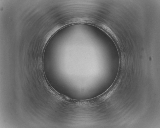 X0000072491089200608041410