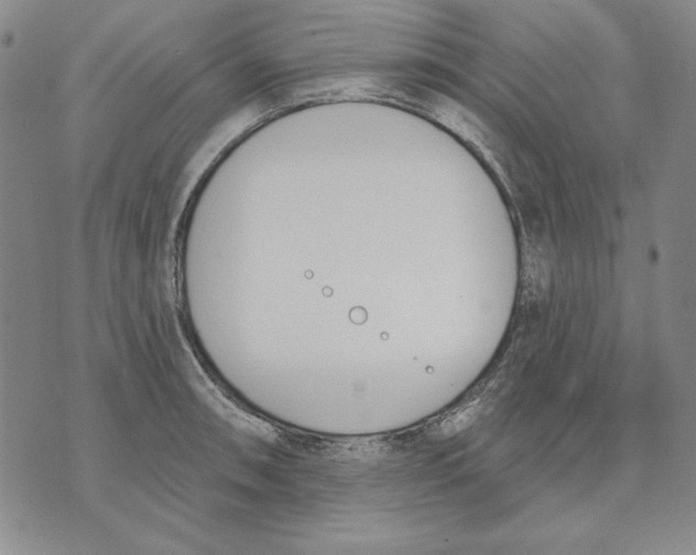 X0000072491090200608041410