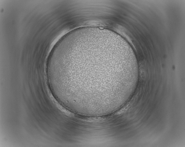 X0000072491091200608041410