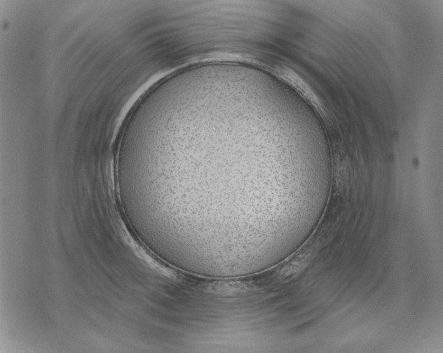 X0000072491092200608041410