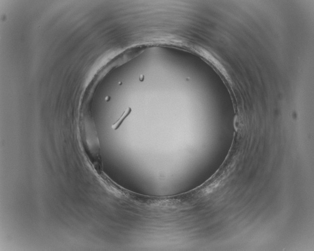 X0000072491093200608041410