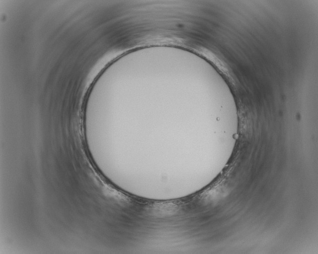 X0000072491094200608041410