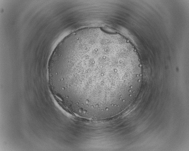 X0000072491095200608041410