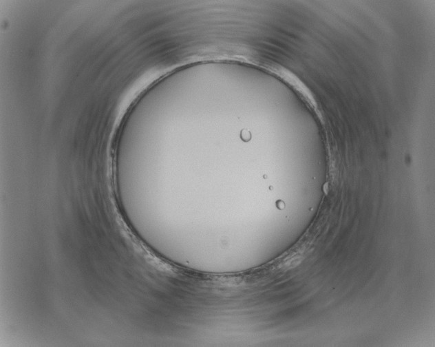 X0000072491096200608041410