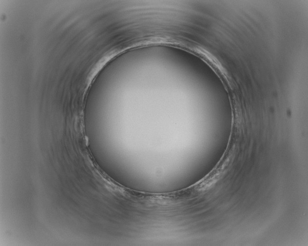 X0000072491097200608041410