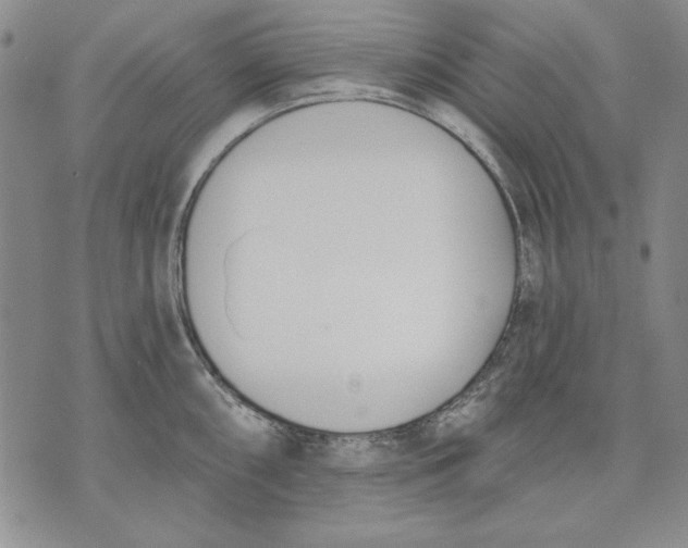 X0000072491098200608041410