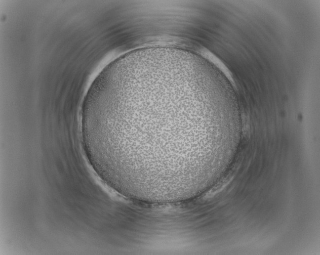 X0000072491099200608041410