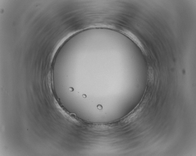 X0000072491100200608041410