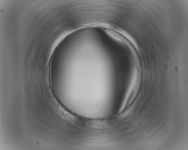 X0000072491102200608041410