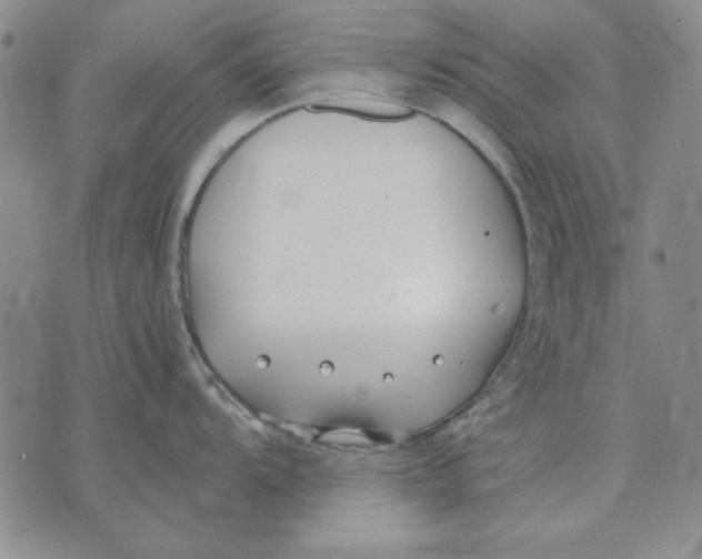 X0000072491104200608041410