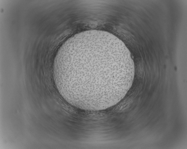 X0000072491105200608041409