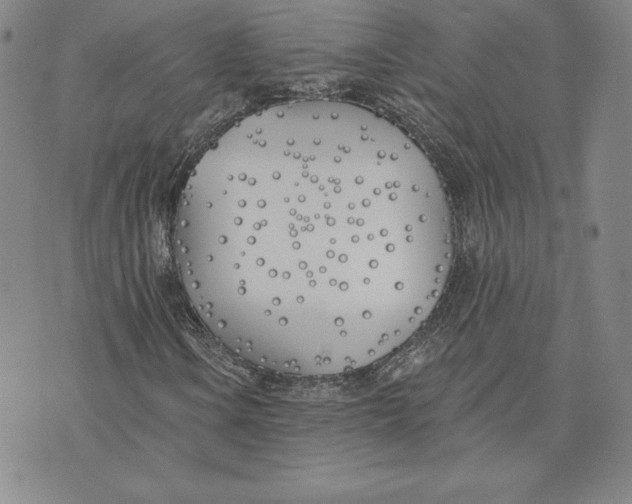 X0000072491106200608041409