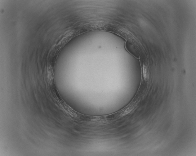 X0000072491107200608041409