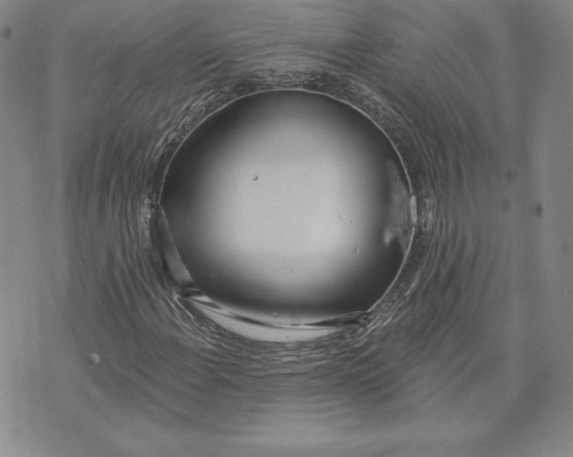 X0000072491108200608041409