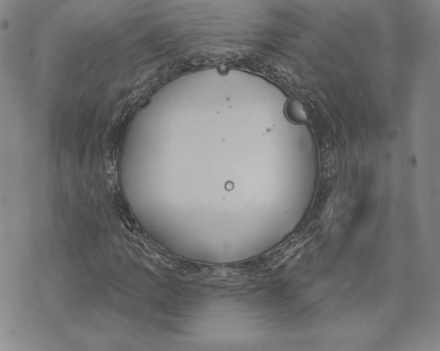 X0000072491109200608041409