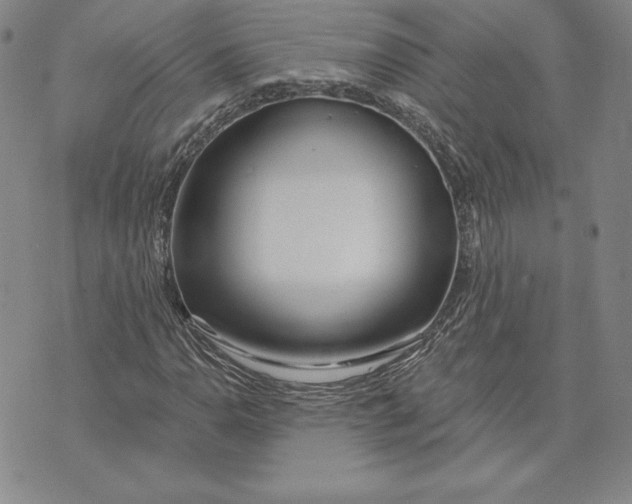 X0000072491110200608041409