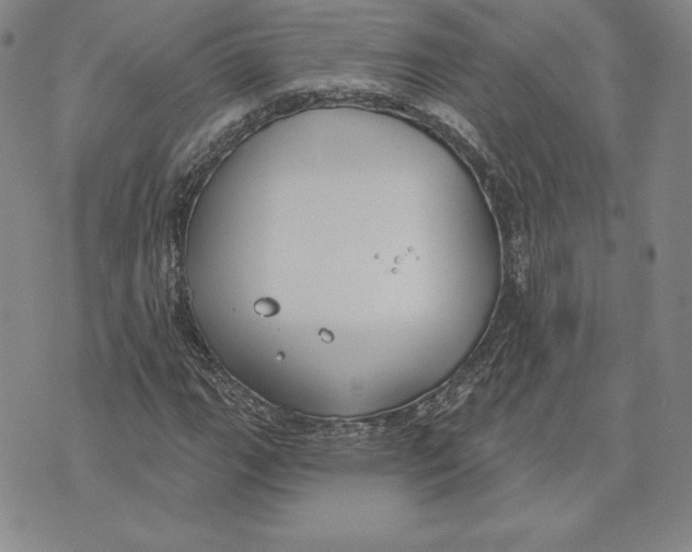 X0000072491111200608041409