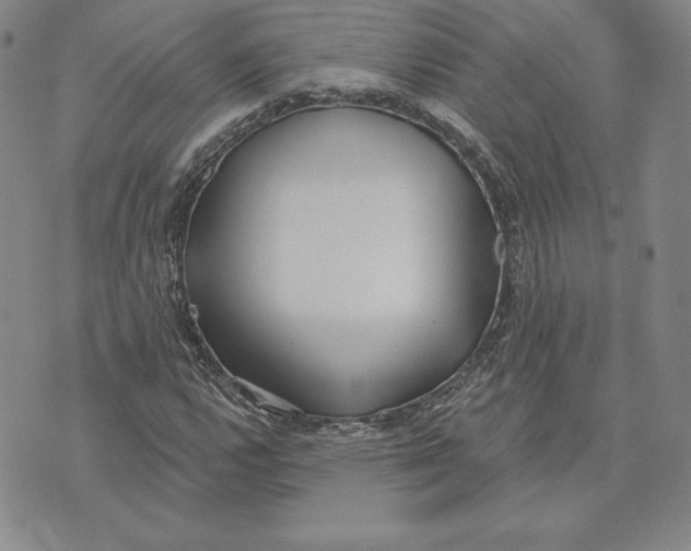 X0000072491112200608041409