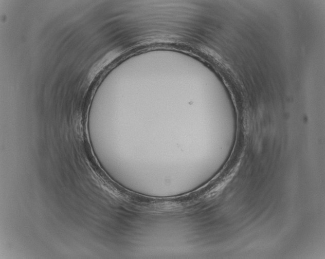 X0000072491113200608041409