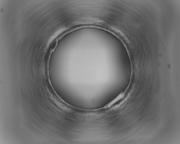 X0000072491114200608041409