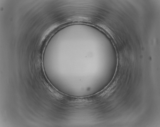 X0000072491115200608041409