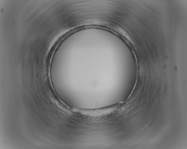 X0000072491116200608041409