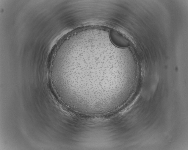 X0000072491117200608041409