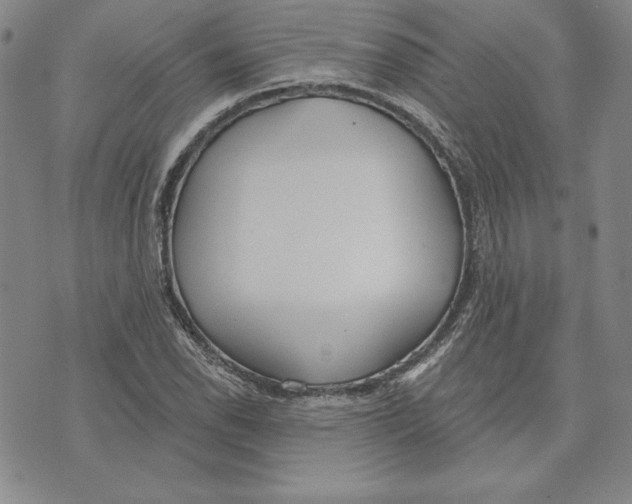 X0000072491118200608041409