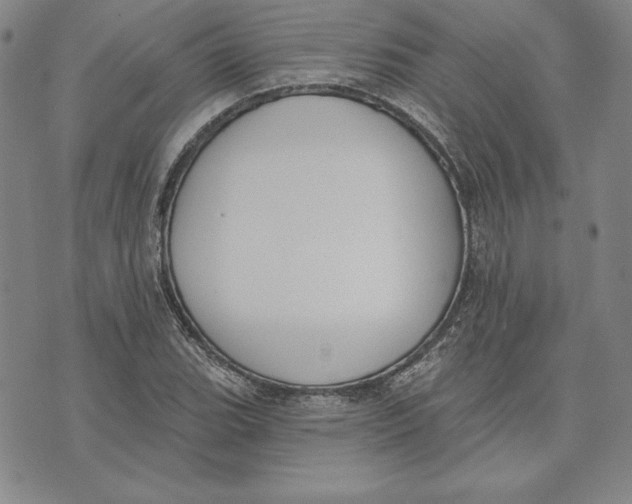 X0000072491119200608041409