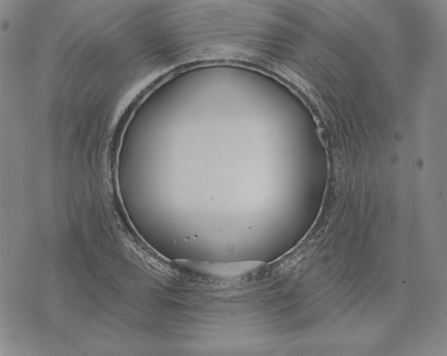 X0000072491120200608041409