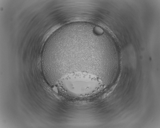 X0000072491121200608041409