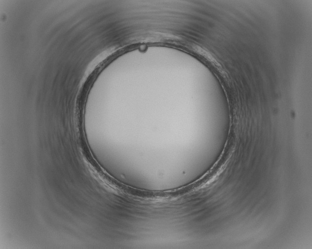 X0000072491122200608041409