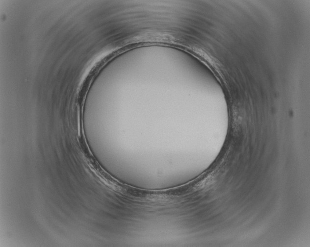 X0000072491123200608041409