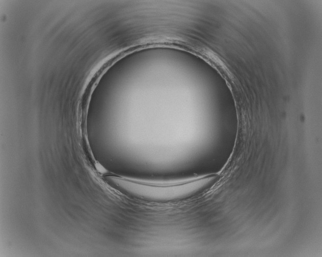 X0000072491124200608041409