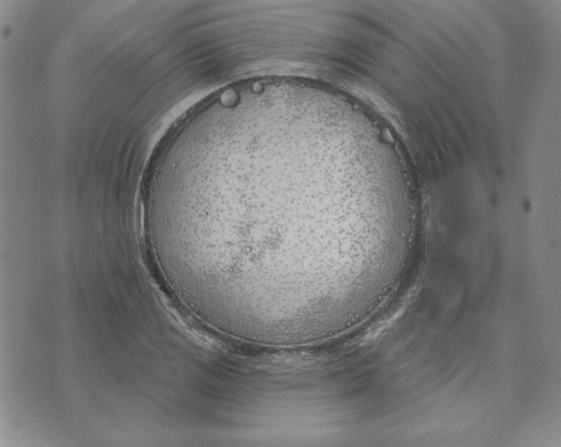 X0000072491125200608041409