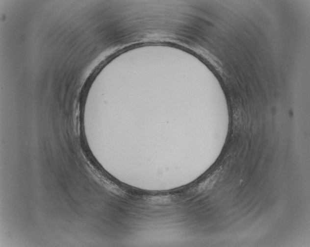 X0000072491126200608041409