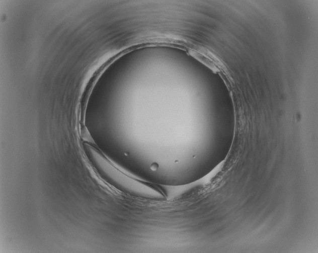 X0000072491128200608041409