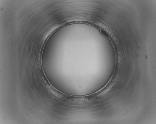 X0000072491129200608041409