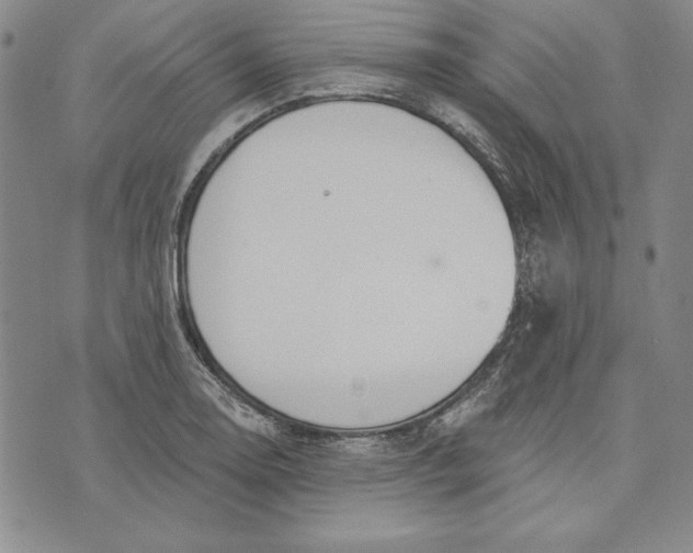 X0000072491130200608041409