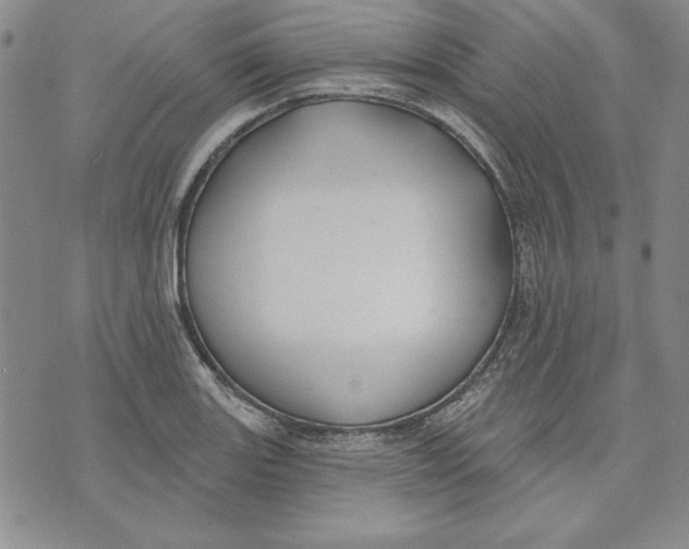 X0000072491131200608041409