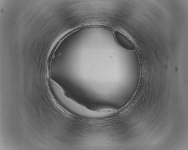 X0000072491132200608041409