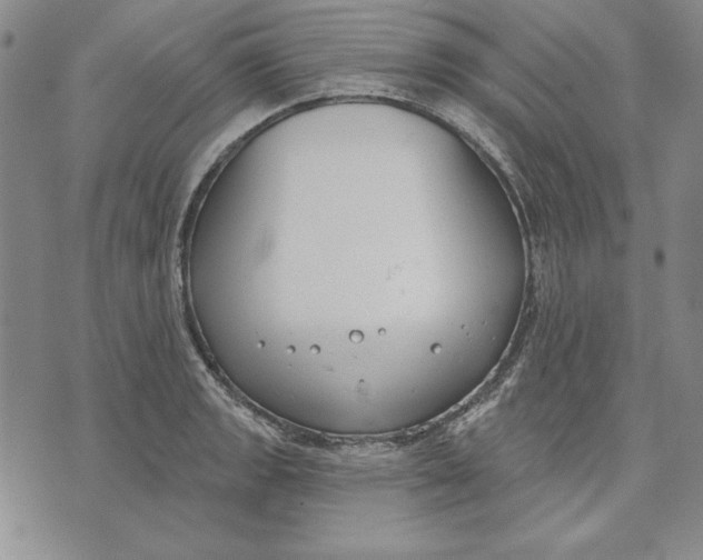 X0000072491133200608041409