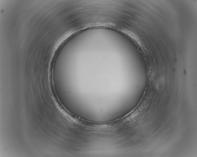 X0000072491135200608041409