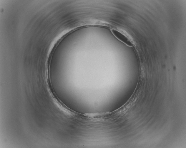 X0000072491136200608041409