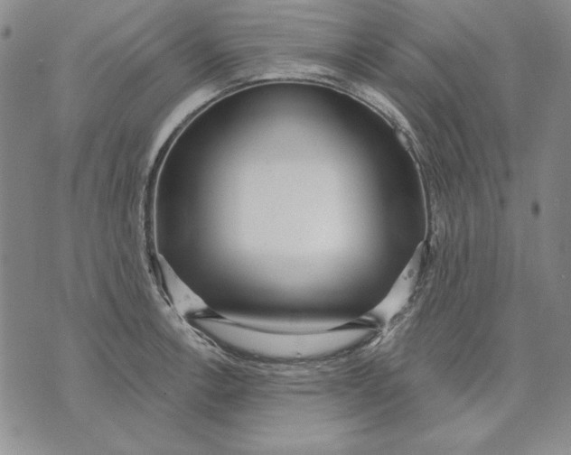 X0000072491138200608041409