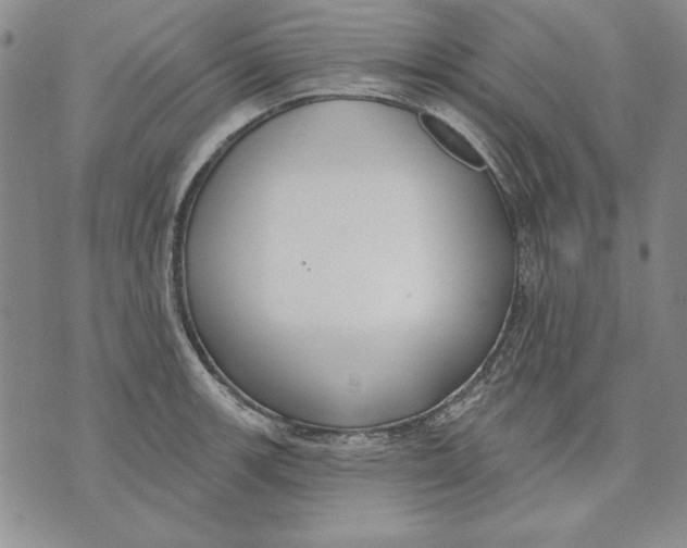 X0000072491139200608041409