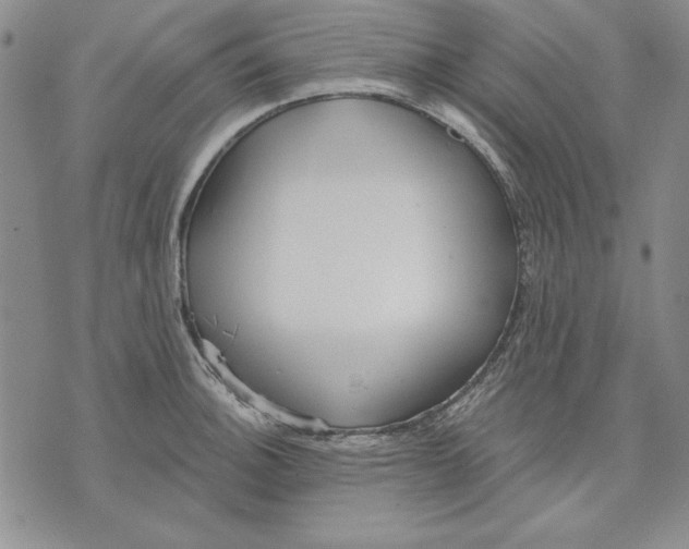 X0000072491140200608041409